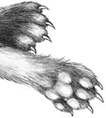 Иллюстрация к книге — День огня [i_039.jpg]