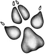 Иллюстрация к книге — День огня [i_040.jpg]