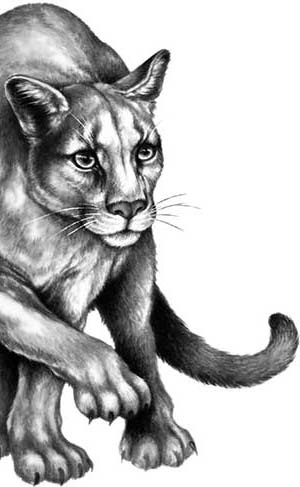 Иллюстрация к книге — День огня [i_043.jpg]