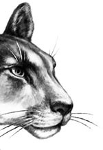 Иллюстрация к книге — День огня [i_049.jpg]