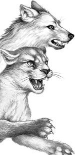 Иллюстрация к книге — День огня [i_050.jpg]