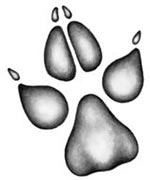 Иллюстрация к книге — День огня [i_051.jpg]