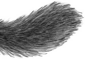 Иллюстрация к книге — День огня [i_054.jpg]