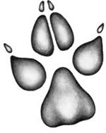 Иллюстрация к книге — День огня [i_055.jpg]