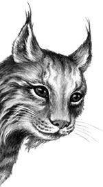 Иллюстрация к книге — День огня [i_056.jpg]