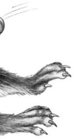 Иллюстрация к книге — День огня [i_057.jpg]