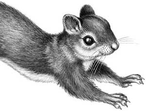 Иллюстрация к книге — День огня [i_060.jpg]