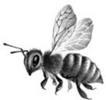 Иллюстрация к книге — День огня [i_061.jpg]