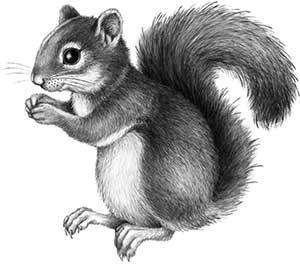 Иллюстрация к книге — День огня [i_065.jpg]