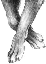 Иллюстрация к книге — День огня [i_070.jpg]