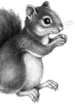 Иллюстрация к книге — День огня [i_072.jpg]