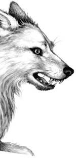 Иллюстрация к книге — День огня [i_073.jpg]