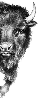 Иллюстрация к книге — День огня [i_074.jpg]