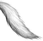 Иллюстрация к книге — День огня [i_076.jpg]