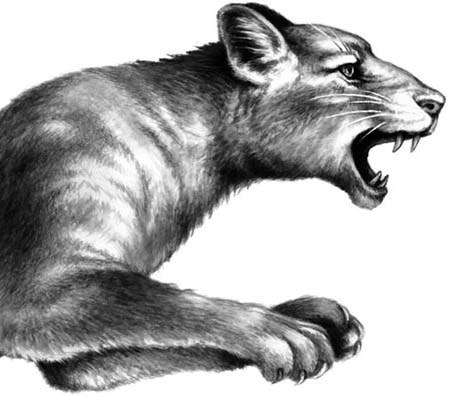 Иллюстрация к книге — День огня [i_079.jpg]