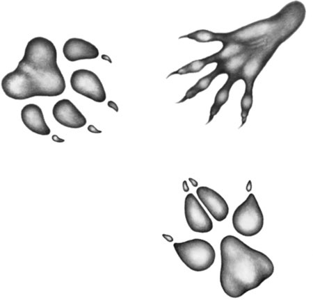 Иллюстрация к книге — День огня [i_080.jpg]