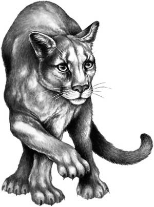 Иллюстрация к книге — День огня [i_081.jpg]