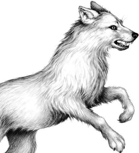 Иллюстрация к книге — День огня [i_084.jpg]