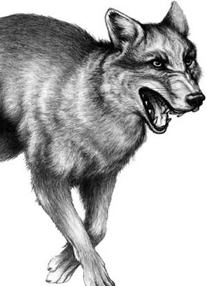 Иллюстрация к книге — День огня [i_085.jpg]