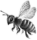 Иллюстрация к книге — День огня [i_087.jpg]