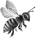 Иллюстрация к книге — День огня [i_088.jpg]