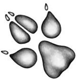 Иллюстрация к книге — День огня [i_089.jpg]