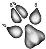 Иллюстрация к книге — День огня [i_091.jpg]