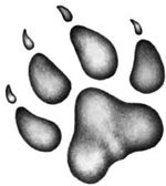 Иллюстрация к книге — День огня [i_092.jpg]