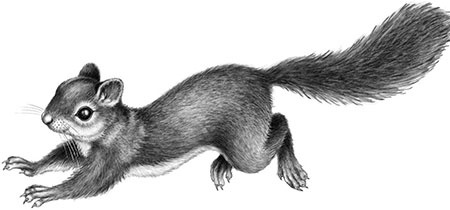 Иллюстрация к книге — День огня [i_096.jpg]