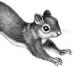 Иллюстрация к книге — День огня [i_105.jpg]