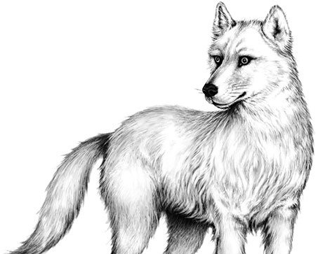 Иллюстрация к книге — День огня [i_106.jpg]