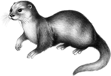 Иллюстрация к книге — День огня [i_110.jpg]