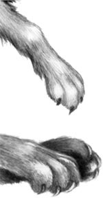 Иллюстрация к книге — День огня [i_115.jpg]