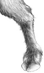 Иллюстрация к книге — День огня [i_116.jpg]