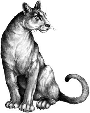 Иллюстрация к книге — День огня [i_122.jpg]