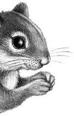 Иллюстрация к книге — День огня [i_123.jpg]