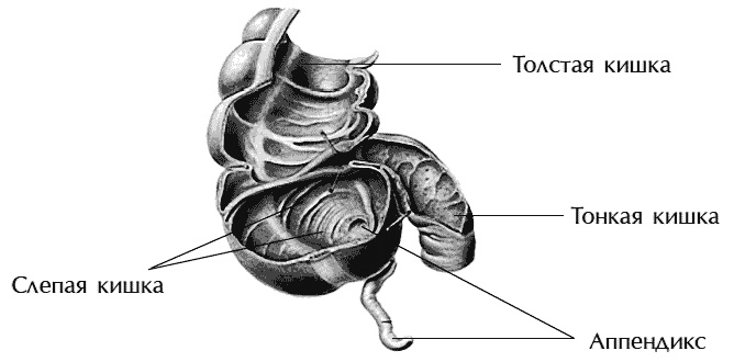 Иллюстрация к книге — Звук безмолвия [i_013.jpg]