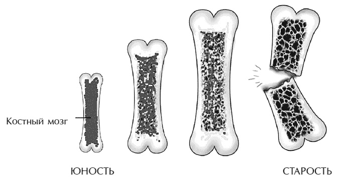 Иллюстрация к книге — Звук безмолвия [i_017.jpg]