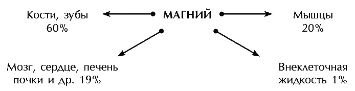 Иллюстрация к книге — Звук безмолвия [i_018.jpg]