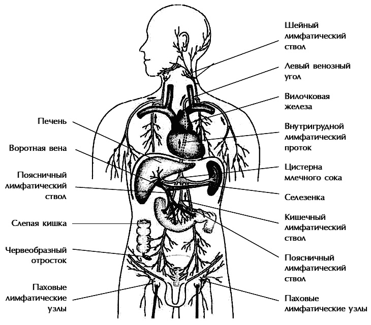 Иллюстрация к книге — Звук безмолвия [i_020.jpg]