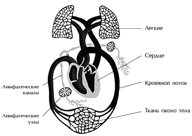 Иллюстрация к книге — Звук безмолвия [i_021.jpg]