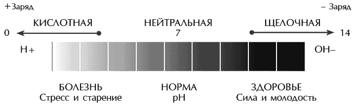 Иллюстрация к книге — Звук безмолвия [i_024.jpg]