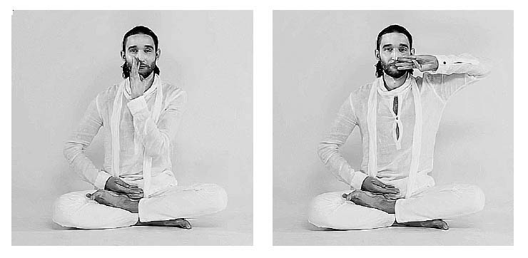 Иллюстрация к книге — Звук безмолвия [i_033.jpg]