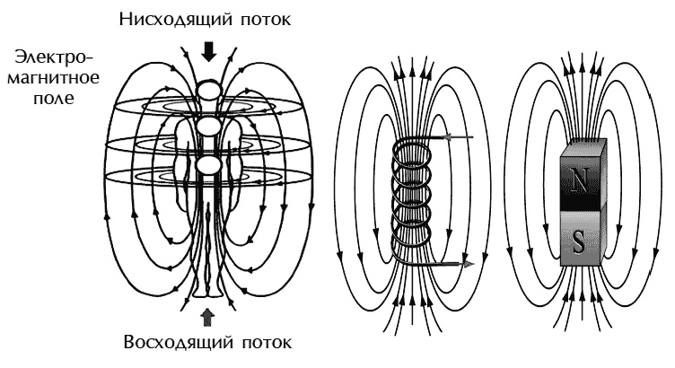 Иллюстрация к книге — Звук безмолвия [i_045.jpg]