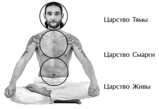 Иллюстрация к книге — Звук безмолвия [i_047.jpg]