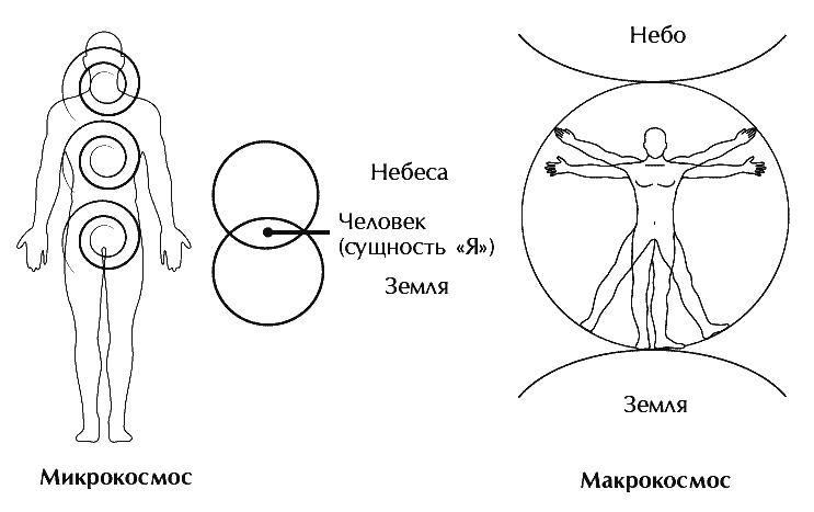 Иллюстрация к книге — Звук безмолвия [i_049.jpg]