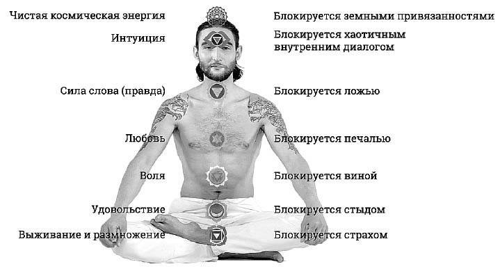 Иллюстрация к книге — Звук безмолвия [i_050.jpg]