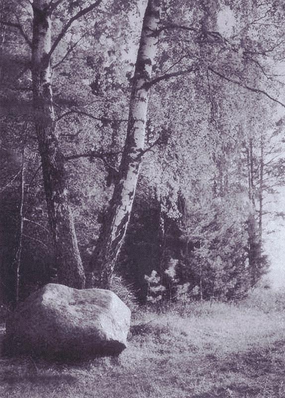 Иллюстрация к книге — Лиля Брик: Её Лиличество на фоне Люциферова века [i_061.jpg]