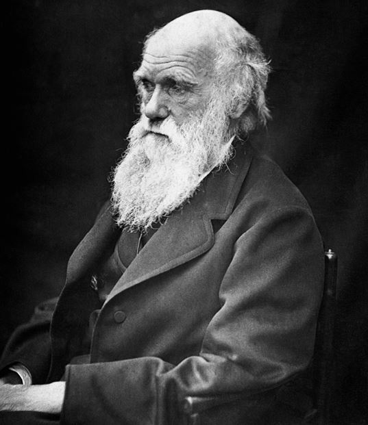 Иллюстрация к книге — Эволюция. От Дарвина до современных теорий [i_001.jpg]