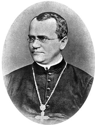 Иллюстрация к книге — Эволюция. От Дарвина до современных теорий [i_003.jpg]